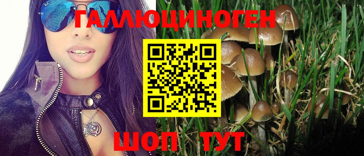 Галлюциногенные грибы Psilocybe  Галлюциногенные грибы Cubensis  Павловский Посад  где можно купить наркотик  Вход с VPN 